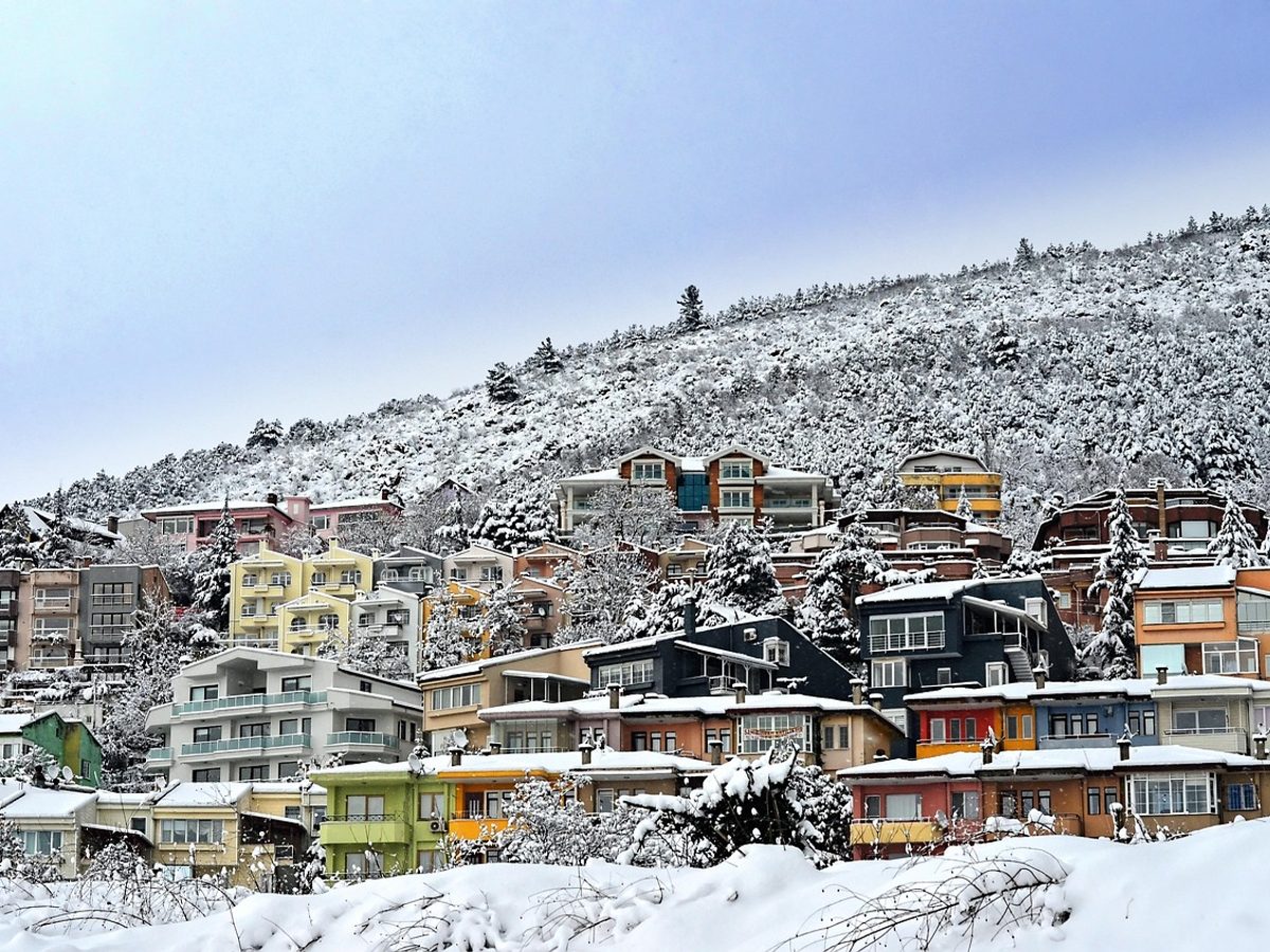 Bursa